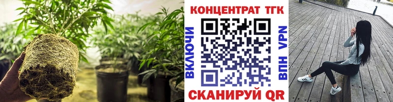 дарнет шоп Зверево ТГК Wax