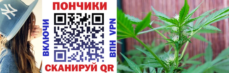 Бошки марихуана Bruce Banner  Зверево 